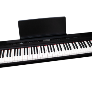ECHORD SP10